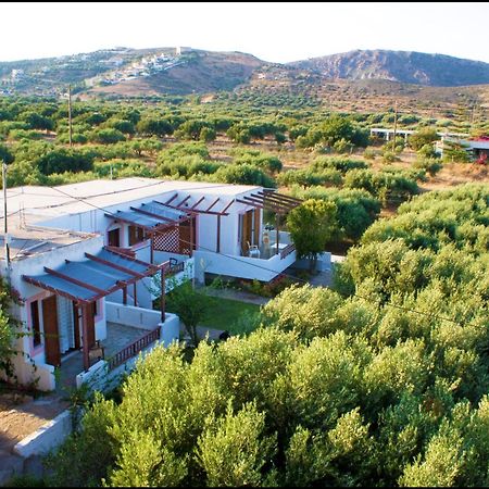 Voula'S Casa Di Mare Apartman Palékasztro Kültér fotó