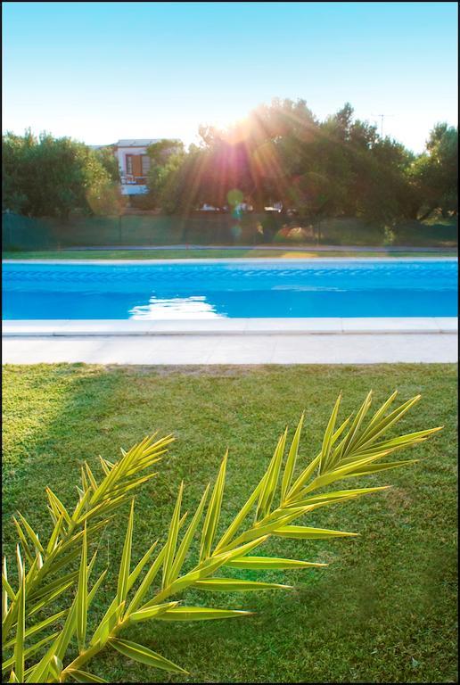 Voula'S Casa Di Mare Apartman Palékasztro Kültér fotó