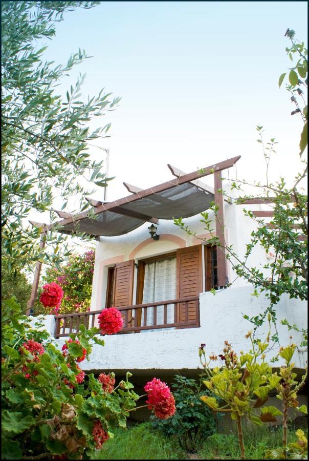 Voula'S Casa Di Mare Apartman Palékasztro Szoba fotó